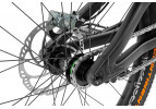 Rower Inspired Fourplay Team 24"
