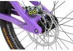 Inspired Fourplay Team 24" bike