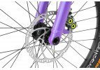 Rower Inspired Fourplay Team 24"
