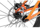 Inspired Arcade Pro 24" bike