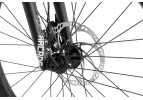 Inspired Arcade Pro 24" bike