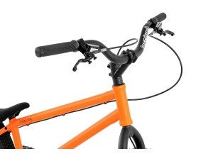 Inspired Arcade Team 24" bike