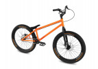 Inspired Arcade Team 24" bike