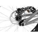 Inspired Flow Plus 24" bike