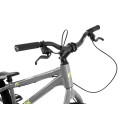 Inspired Flow 22" bike