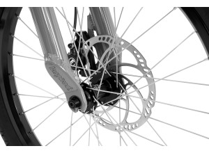 Inspired Flow 22" bike
