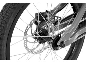 Inspired Flow 20" bike