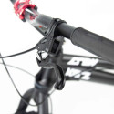 Rower Crewkerz Desire 20"