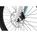 Inspired Fourplay Pro 24" bike