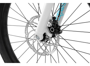 Inspired Fourplay Pro 24" bike
