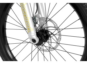 Inspired Link Team 22" bike