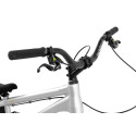 Inspired Link Team 22" bike