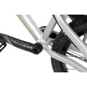 Inspired Link Team 22" bike