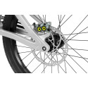 Inspired Link Team 22" bike