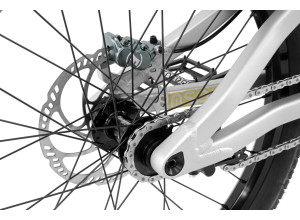 Inspired Link Team 22" bike