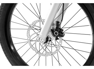 Inspired Link Pro 22" bike