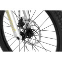 Inspired Link Pro 22" bike