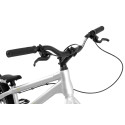 Inspired Link Pro 22" bike