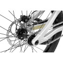 Inspired Link Pro 22" bike