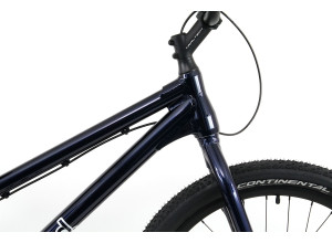 Inspired Hex Team 26" bike