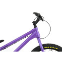 Inspired Fourplay Pro 24" bike