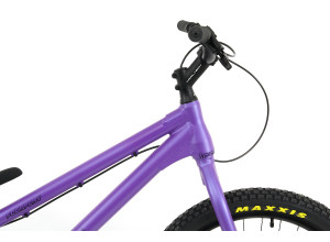 Inspired Fourplay Pro 24" bike