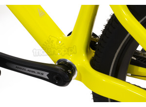 Rower Extention Avenger